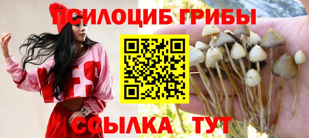 Псилоцибиновые грибы MAGIC MUSHROOMS Муравленко